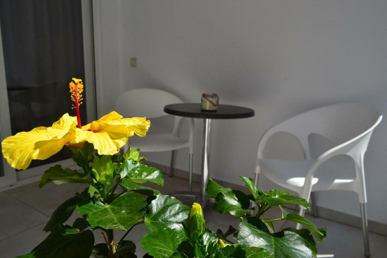 Paraskevi'S Apartments Kíssamos Zewnętrze zdjęcie